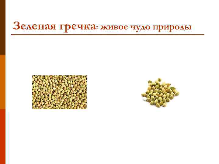 Зеленая гречка: живое чудо природы 