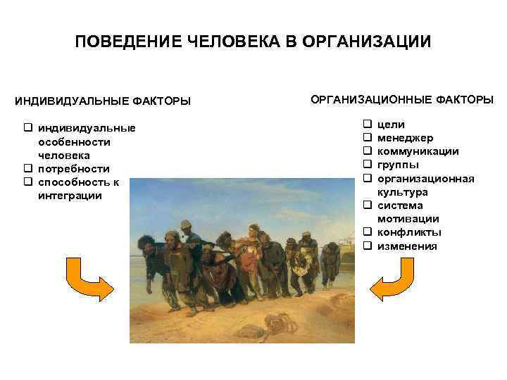 ПОВЕДЕНИЕ ЧЕЛОВЕКА В ОРГАНИЗАЦИИ ИНДИВИДУАЛЬНЫЕ ФАКТОРЫ ОРГАНИЗАЦИОННЫЕ ФАКТОРЫ q индивидуальные ПОВЕДЕНИЕ ЧЕЛОВЕКА В ОРГАНИЗАЦИИ ИНДИВИДУАЛЬНЫЕ ФАКТОРЫ ОРГАНИЗАЦИОННЫЕ ФАКТОРЫ q индивидуальные