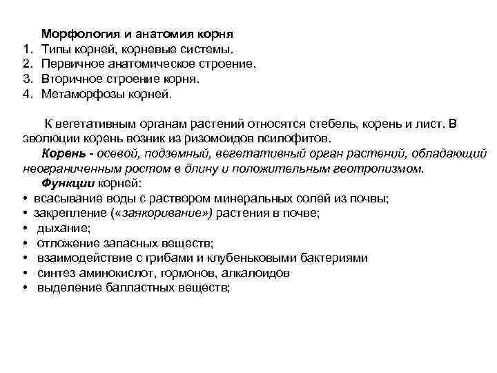  Морфология и анатомия корня 1. Типы корней, корневые системы. 2. Первичное анатомическое строение.