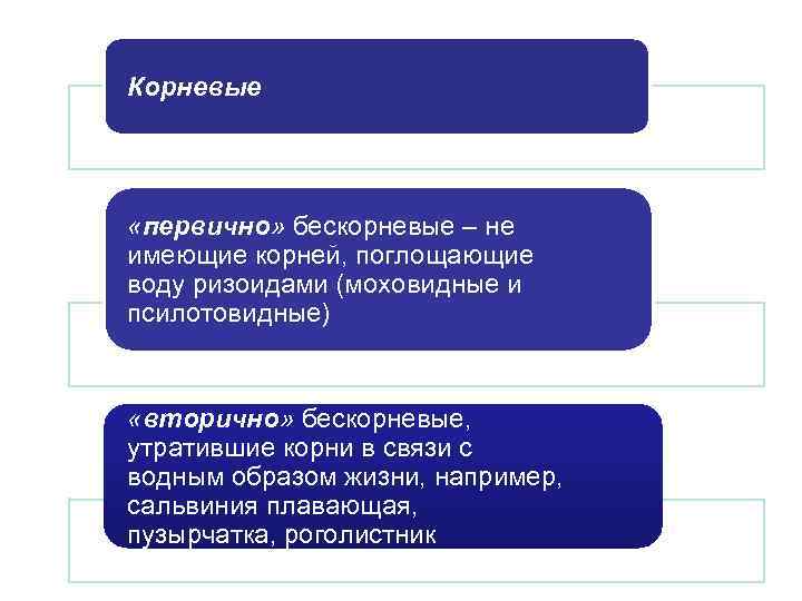 Корневые  «первично» бескорневые – не имеющие корней, поглощающие воду ризоидами (моховидные и псилотовидные)
