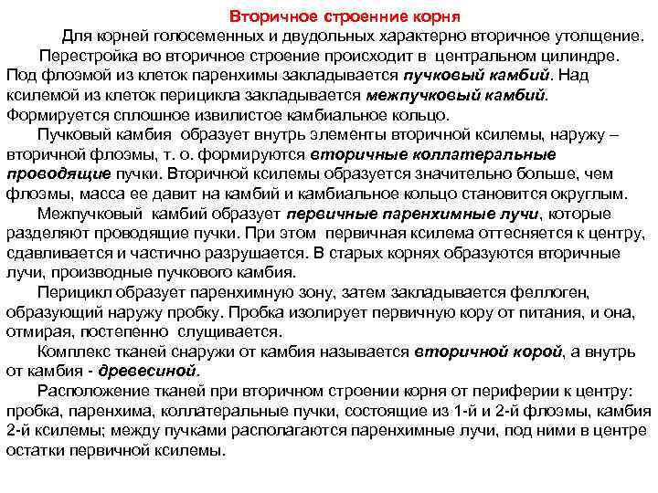      Вторичное строенние корня  Для корней голосеменных и двудольных