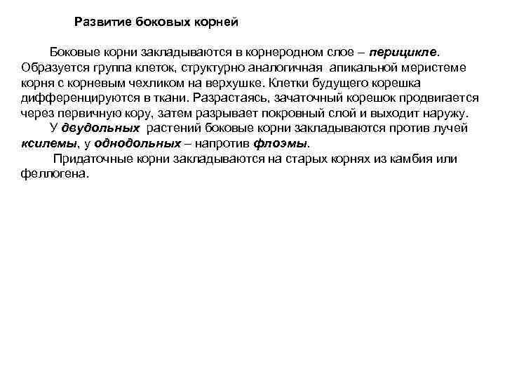   Развитие боковых корней   Боковые корни закладываются в корнеродном слое –