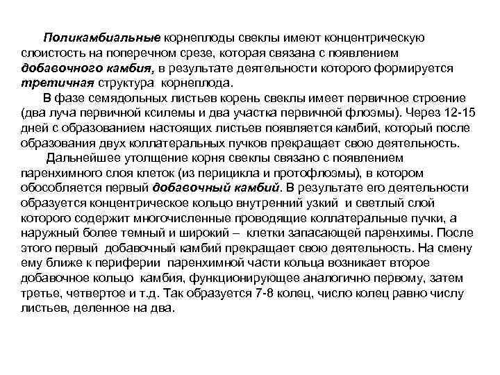   Поликамбиальные корнеплоды свеклы имеют концентрическую слоистость на поперечном срезе, которая связана с