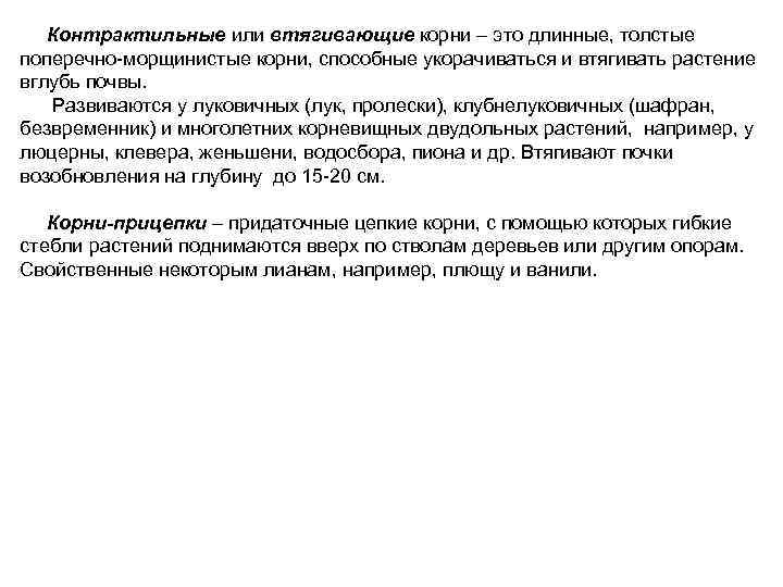  Контрактильные или втягивающие корни – это длинные, толстые поперечно-морщинистые корни, способные укорачиваться и