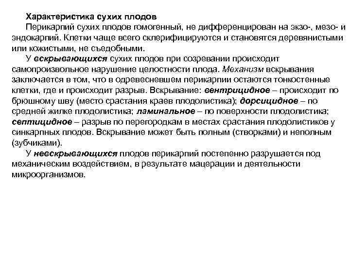   Характеристика сухих плодов Перикарпий сухих плодов гомогенный, не дифференцирован на экзо ,