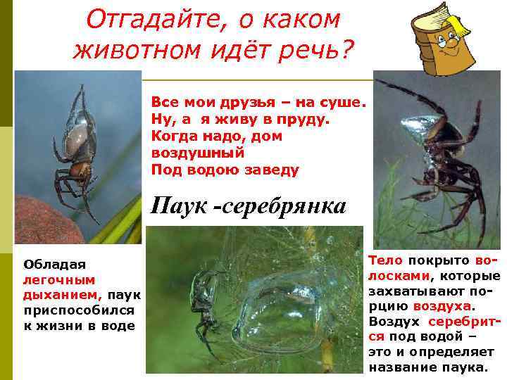  Отгадайте, о каком животном идёт речь?    Все мои друзья –