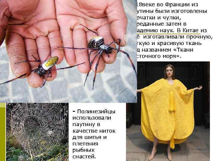       В 18 веке во Франции из  