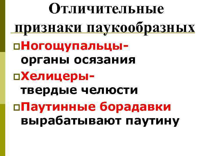 Признаки паукообразных. Отличительные признаки паукообразных. Отличительные особенности паукообразных. Характерные черты паукообразных. Признаки класса паукообразные.