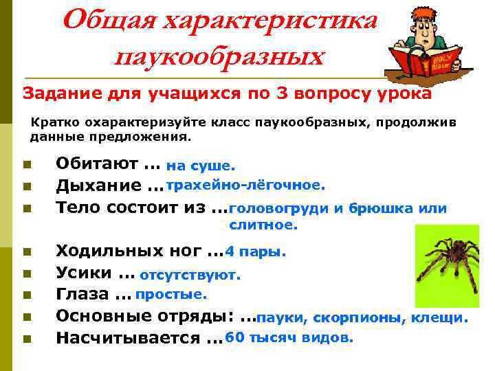 Особенности паукообразных. Паукообразные общая характеристика 7. Общая характеристика паукообразных 7 класс кратко. Основные характеристики паукообразных. Характеристика паукообразных кратко.