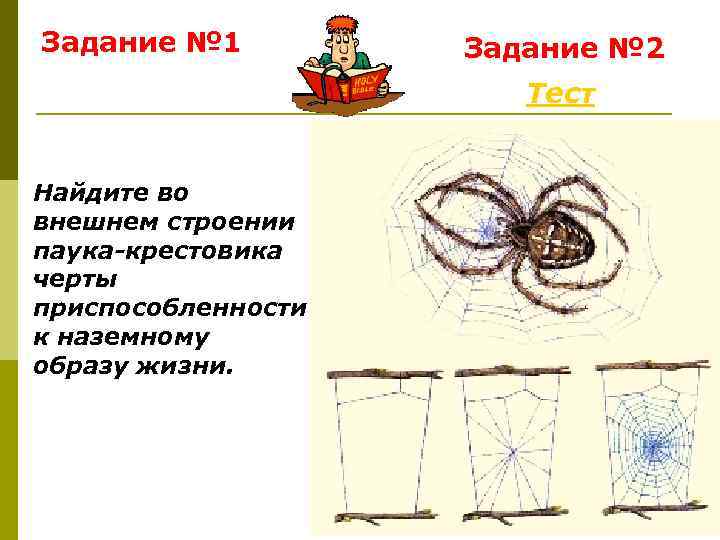 Задание № 1   Задание № 2    Тест  Найдите