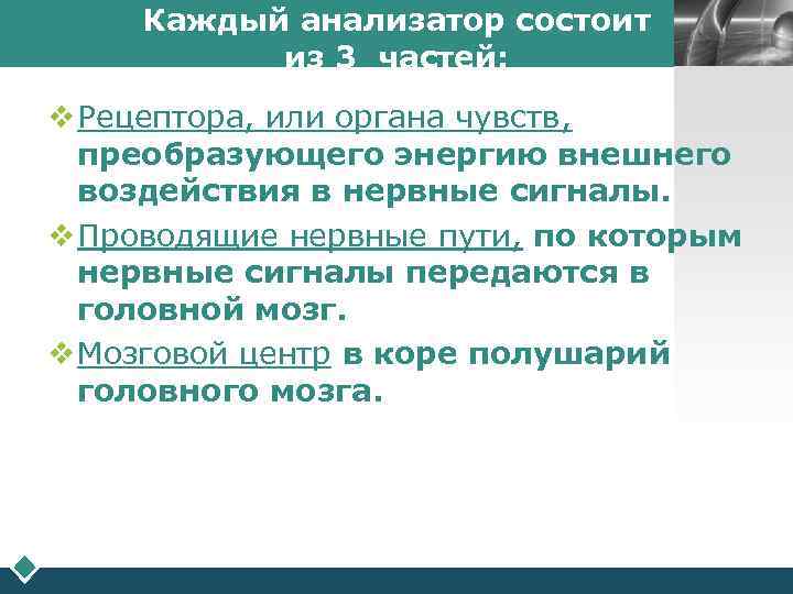  Каждый анализатор состоит       LOGO  из 3