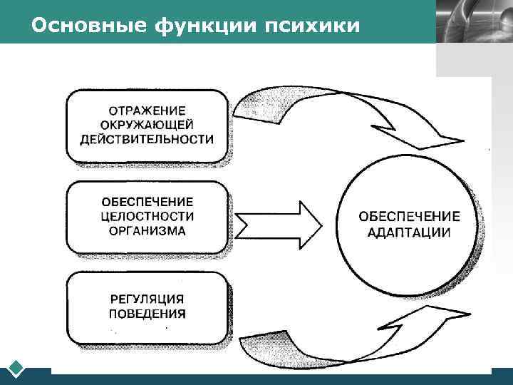 Основные функции психики  LOGO 