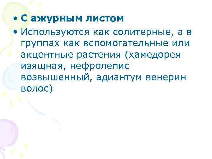 • С ажурным листом • Используются как солитерные, а в группах как • С ажурным листом • Используются как солитерные, а в группах как