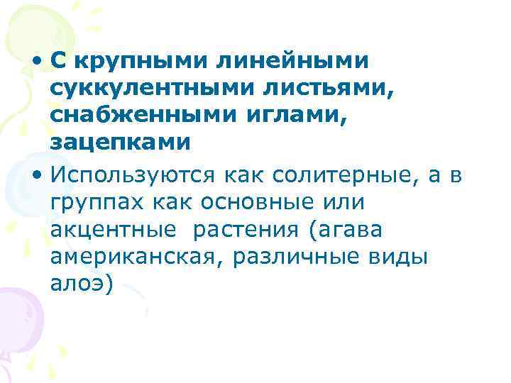 • С крупными линейными суккулентными листьями, снабженными иглами, зацепками • • С крупными линейными суккулентными листьями, снабженными иглами, зацепками •