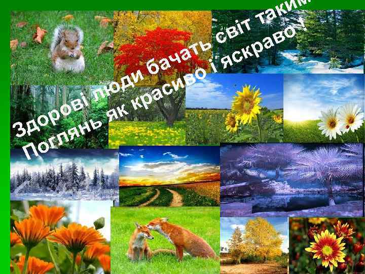      ак им     тт о! 