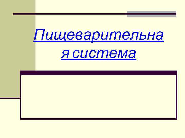 Пищеварительна  я система 