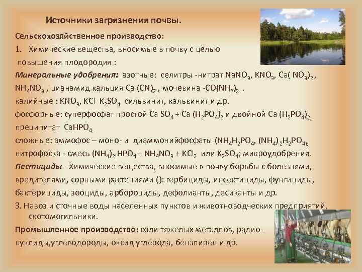   Источники загрязнения почвы. Сельскохозяйственное производство: 1. Химические вещества, вносимые в почву с