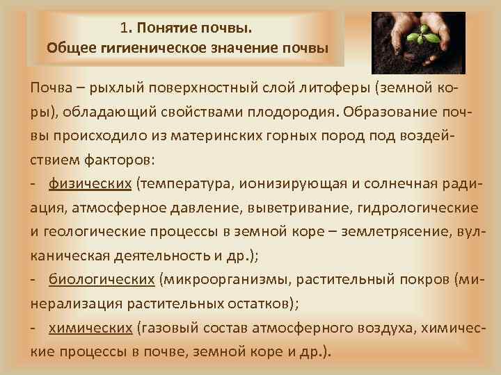   1. Понятие почвы.  Общее гигиеническое значение почвы Почва – рыхлый поверхностный