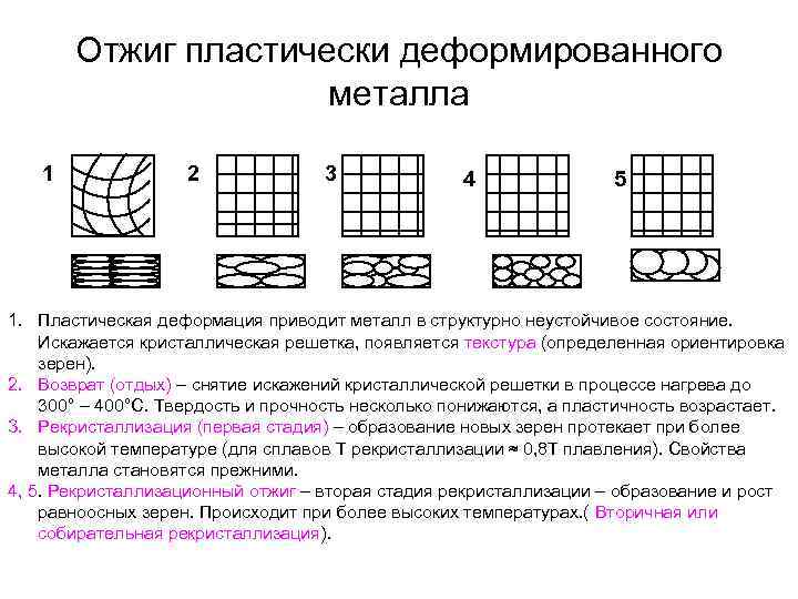   Отжиг пластически деформированного     металла 1   