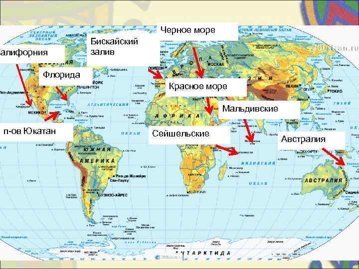        Черное море    Бискайский Калифорния