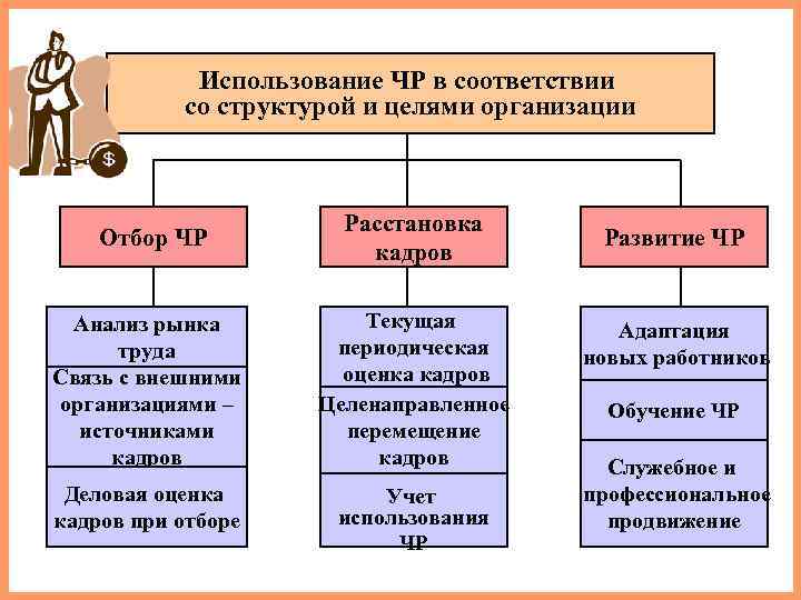   Использование ЧР в соответствии  со структурой и целями организации  