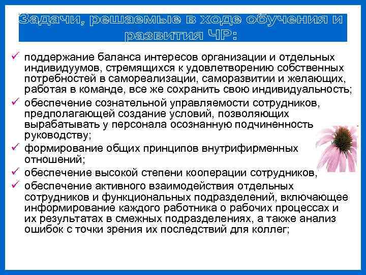 ü поддержание баланса интересов организации и отдельных  индивидуумов, стремящихся к удовлетворению собственных 