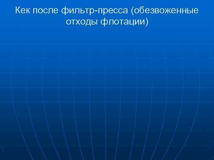 >Кек после фильтр-пресса (обезвоженные  отходы флотации) 