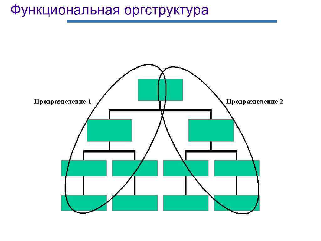 Функциональная оргструктура 