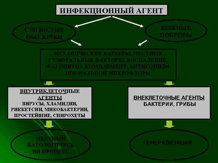     ИНФЕКЦИОННЫЙ АГЕНТ СЛИЗИСТЫЕ      КОЖНЫЕ ОБОЛОЧКИ