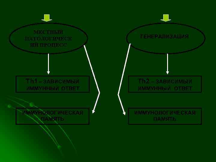  МЕСТНЫЙ ПАТОЛОГИЧЕСК  ГЕНЕРАЛИЗАЦИЯ ИЙ ПРОЦЕСС Th 1 – ЗАВИСИМЫЙ  Th 2