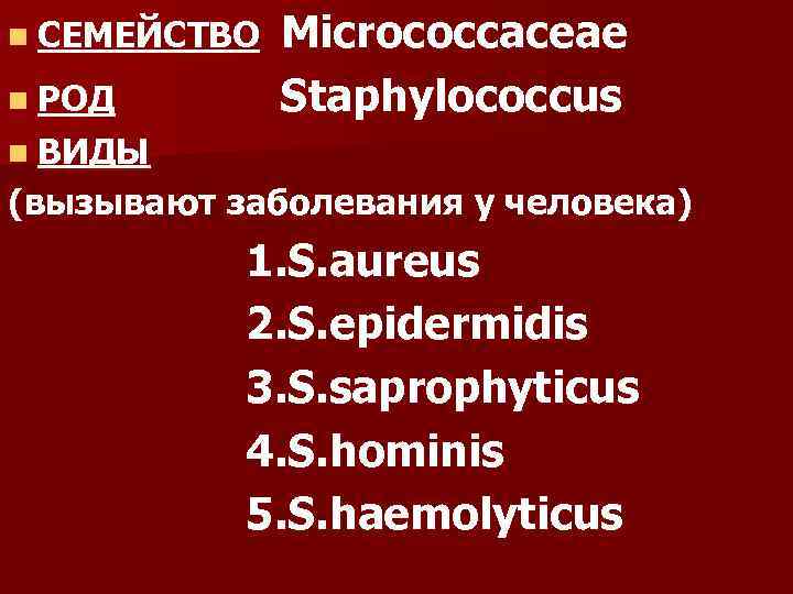 n СЕМЕЙСТВО  Micrococcaceae n РОД   Staphylococcus n ВИДЫ (вызывают заболевания у
