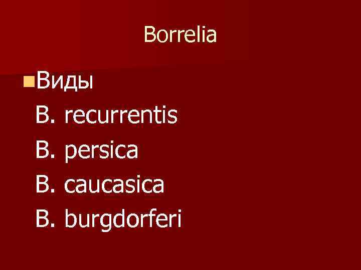    Borrelia n. Виды B. recurrentis B. persica B. caucasica B. burgdorferi