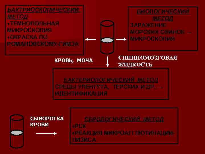 БАКТРИОСКОПИЧЕСКИЙ   БИОЛОГИЧЕСКИЙ МЕТОД       МЕТОД ТЕМНОПОЛЬНАЯ 