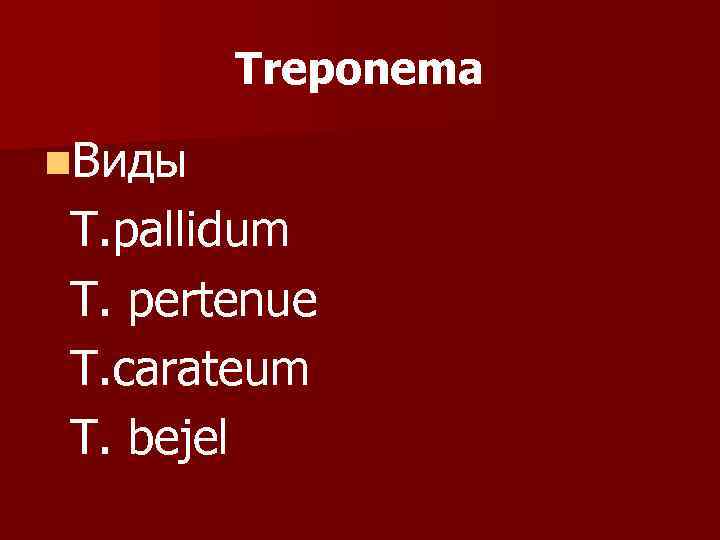   Treponema n. Виды Т. pallidum T. pertenue T. carateum T. bejel 