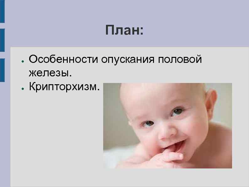     План:  ●  Особенности опускания половой железы. ● 