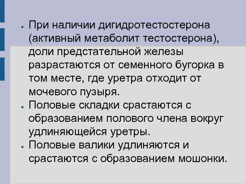 ●  При наличии дигидротестостерона (активный метаболит тестостерона), доли предстательной железы разрастаются от семенного