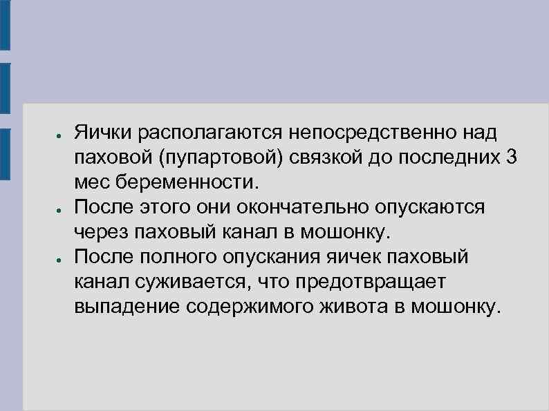 ●  Яички располагаются непосредственно над паховой (пупартовой) связкой до последних 3 мес беременности.