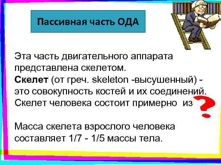  Пассивная часть ОДА  Эта часть двигательного аппарата представлена скелетом. Скелет (от греч.