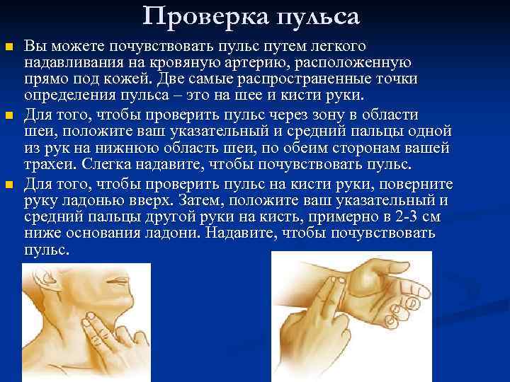     Проверка пульса n  Вы можете почувствовать пульс путем легкого