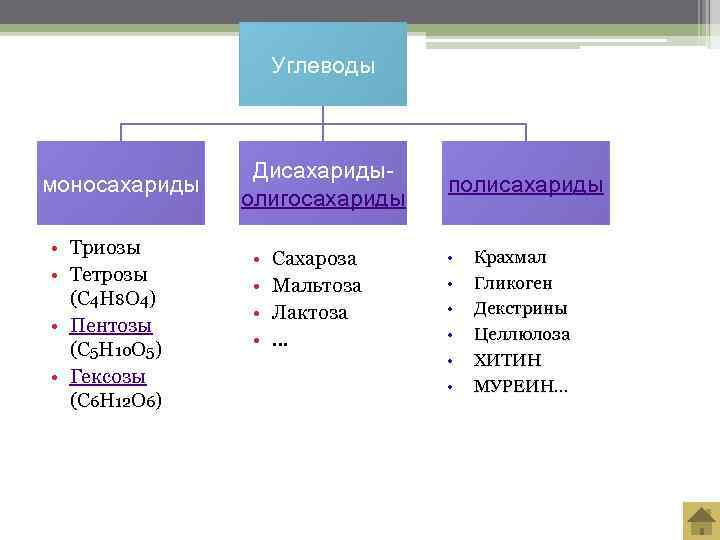     Углеводы    Дисахариды- моносахариды    полисахариды