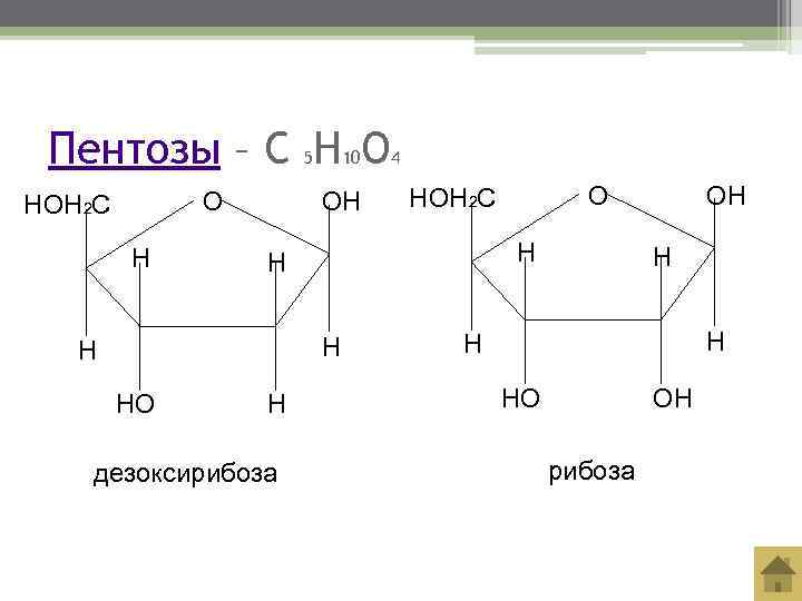 Строение рибозы. Рибоза и дезоксирибоза. Строение рибозы и дезоксирибозы. D-2-дезоксирибоза. Дезоксирибоза структурная формула.