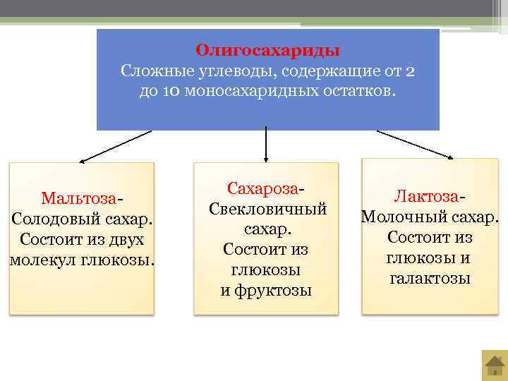      Олигосахариды   Сложные углеводы, содержащие от 2 