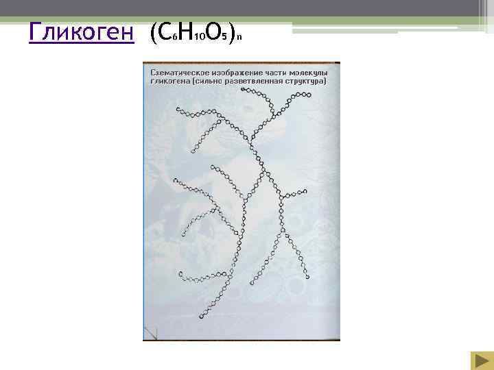 Гликоген (С Н О )  6  10  5 n 