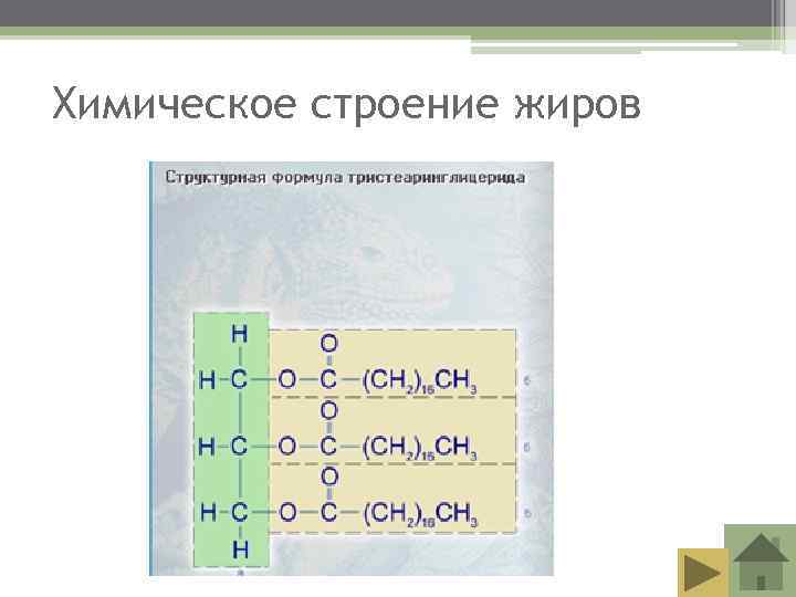 Химическое строение жиров    ВЖК 