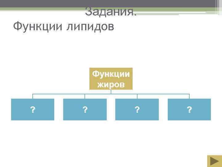   Задания. Функции липидов   Функции    жиров  ?