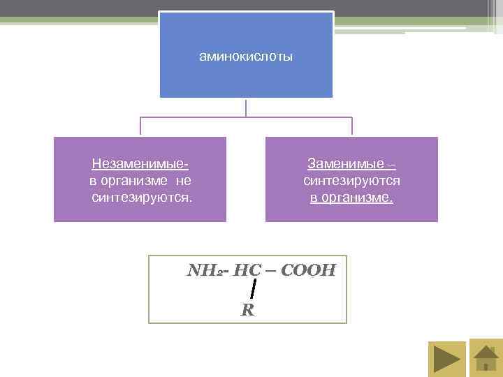    аминокислоты Незаменимые-     Заменимые – в организме не