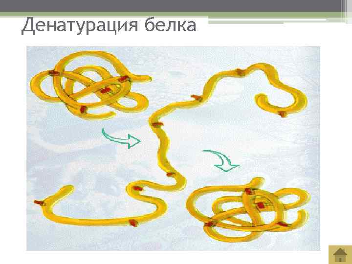 Денатурация белка