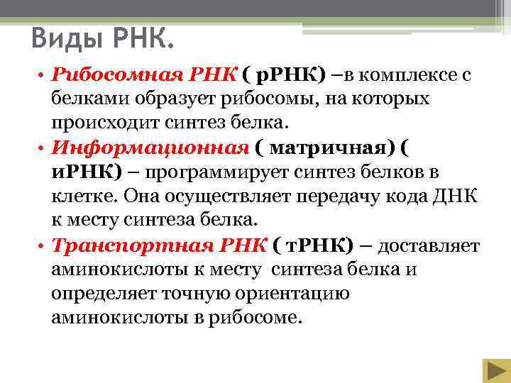 Виды РНК.  • Рибосомная РНК ( р. РНК) –в комплексе с  белками