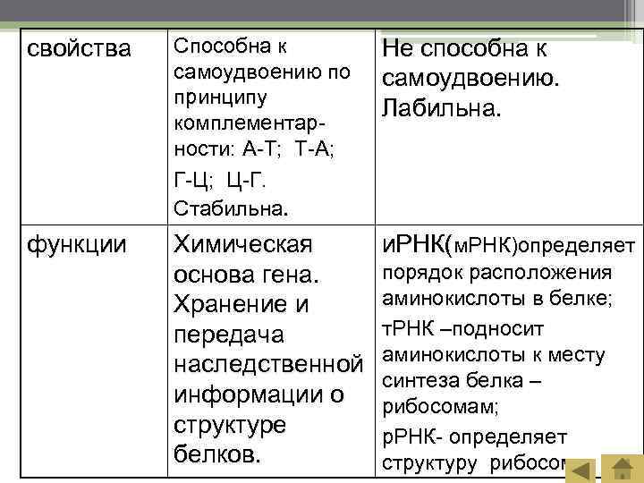 свойства  Способна к   Не способна к  самоудвоению по  самоудвоению.