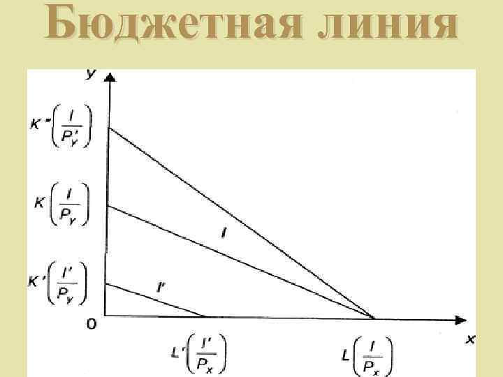 Бюджетная линия 